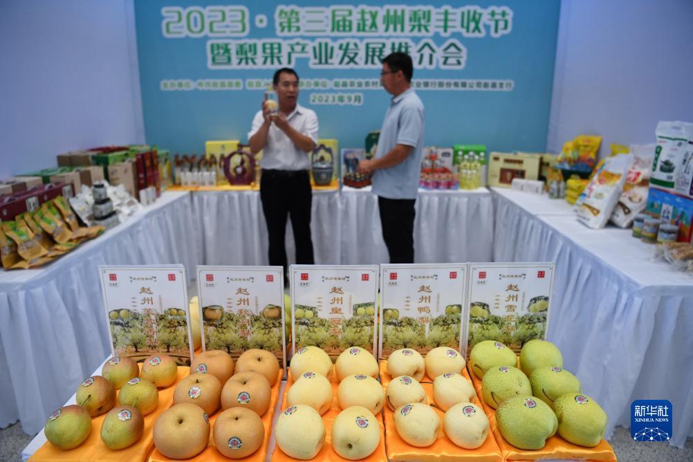 捕鱼app技巧